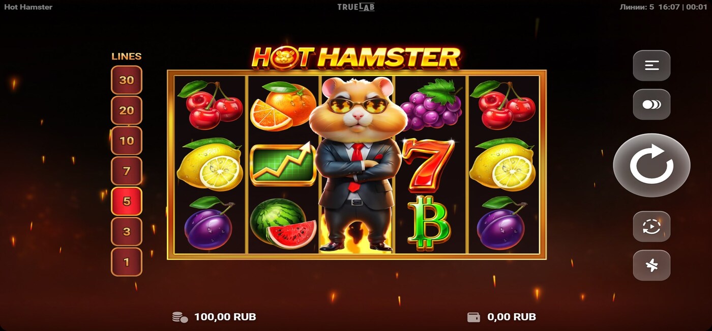 Hot Hamster